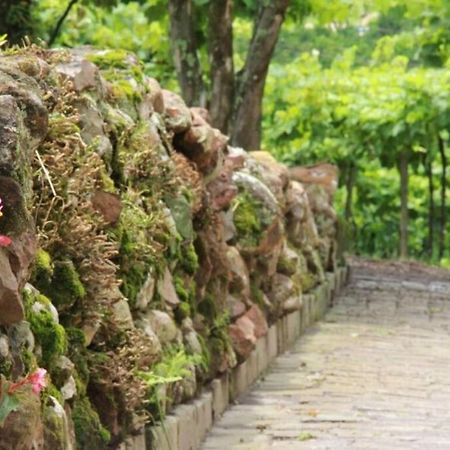 Casa Vigneto Octavio No Vale Dos Vinhedos Villa Bento Gonçalves Eksteriør bilde