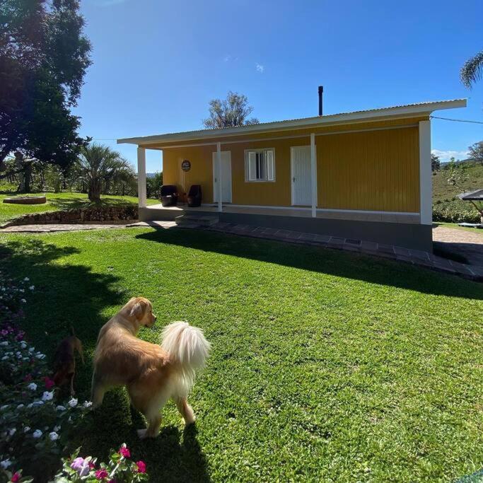 Casa Vigneto Octavio No Vale Dos Vinhedos Villa Bento Gonçalves Eksteriør bilde