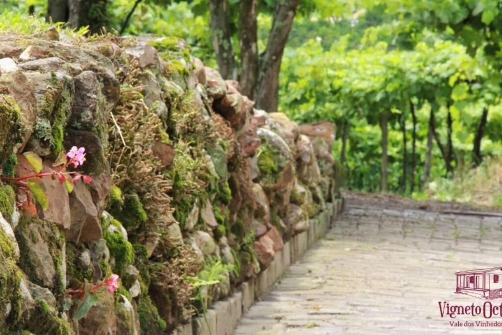 Casa Vigneto Octavio No Vale Dos Vinhedos Villa Bento Gonçalves Eksteriør bilde