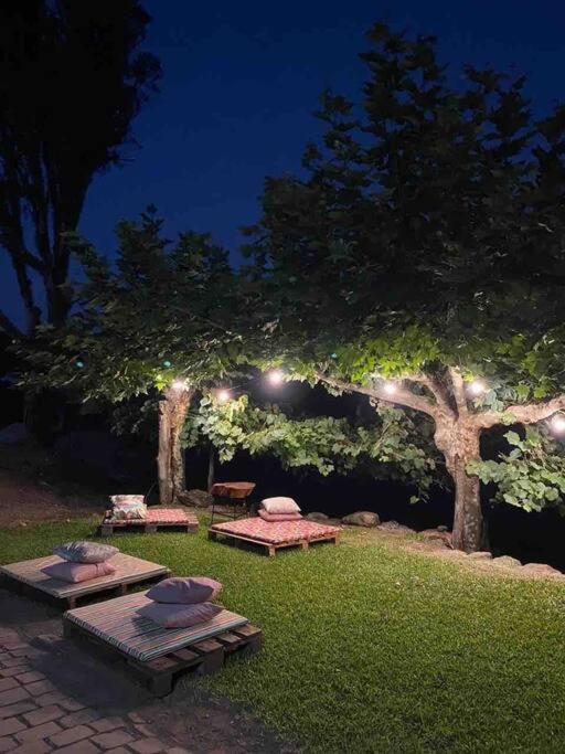 Casa Vigneto Octavio No Vale Dos Vinhedos Villa Bento Gonçalves Eksteriør bilde